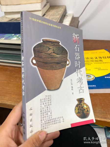 新石器时代考古：20世纪中国文物考古发现与研究丛书