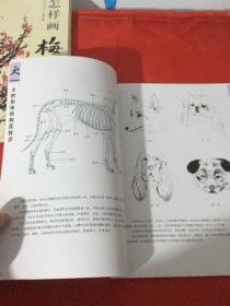 国画基础：怎样画犬（中国书店）