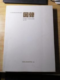 中央美术学院造型学院油画系 回声 材料艺术工作室作品文献集