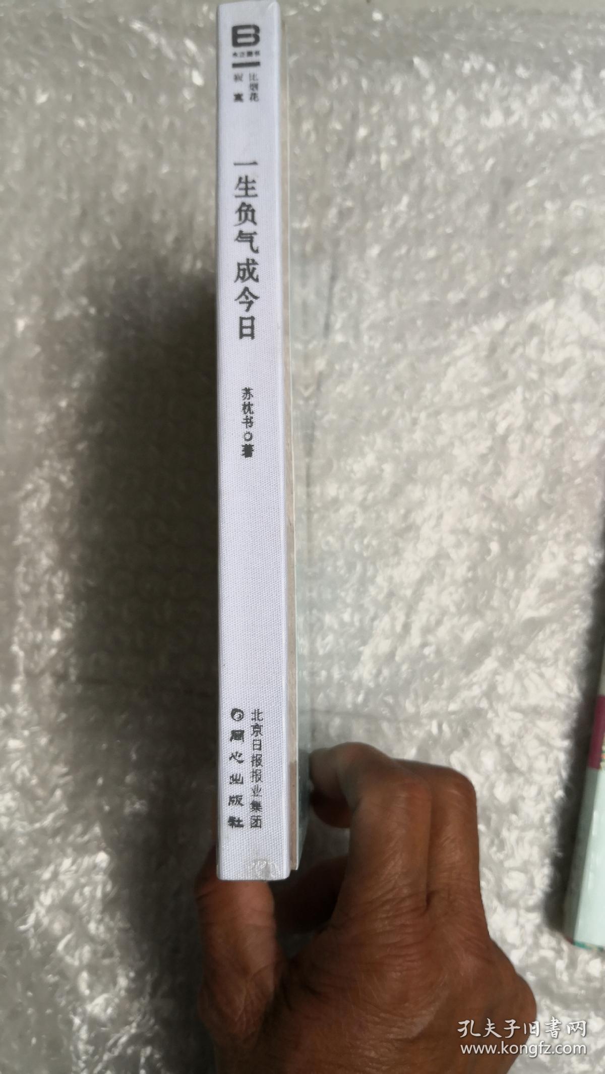 一生负气成今日：柳如是与她的爱人们（未开封）