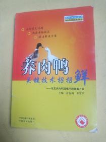 强农惠农丛书·畜牧兽医精品图书系列·养肉鸭关键技术招招鲜：常见养肉鸭疑难问题破解方案