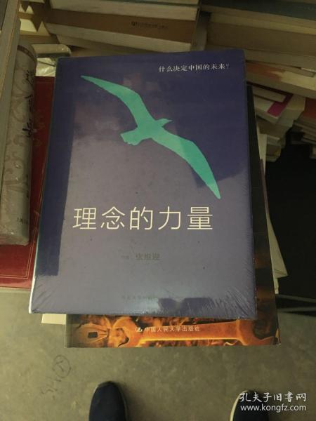 理念的力量：什么决定中国的未来