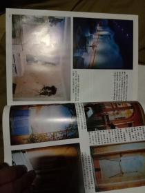 墙饰艺术（包邮）