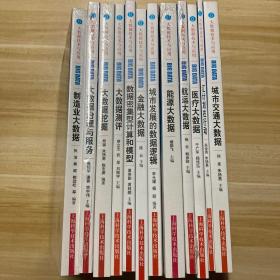 大数据技术与应用：城市交通大数据、能源大数据、城市发展的数据逻辑、汇计划在行动、医疗大数据、航运大数据、大数据治理与服务、制造业大数据、大数据挖掘、金融大数据、数据密集型计算和模型、大数据测评