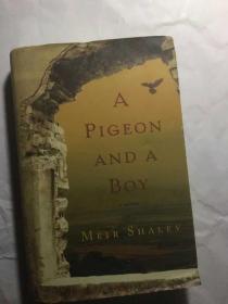 A Pigeon and a Boy