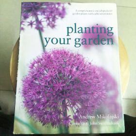 planting your garden（114）