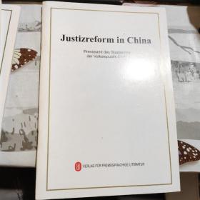 中国的司法改革（德文版）