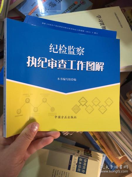 纪检监察执纪审查工作图解