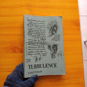 TURBULENCE THE LEGACY OF A.N.KOLMOGOROV  16开【内页干净】