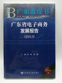 广东蓝皮书：广东省电子商务发展报告（2013）