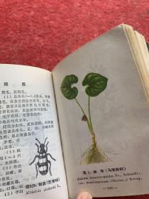 东北常用中草药手册