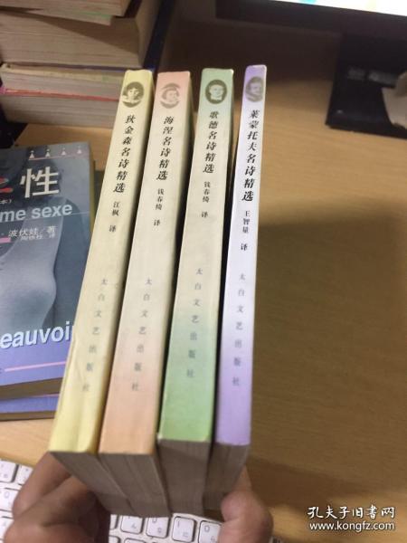 名诗名译丛书：袁可嘉译《叶芝抒情诗选》+江枫译《狄金森名诗精选》、《雪莱诗精选》+钱春绮译《海涅名诗精选》、《歌德名诗精选》+杨德豫、查良铮译《拜伦名诗精选》+王智量译《莱蒙托夫名诗精选》（共七册合售不单卖）