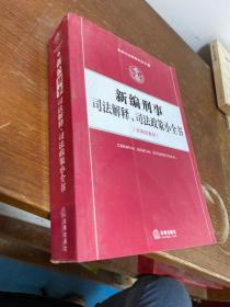 新编司法解释小全书4：新编刑事司法解释、司法政策小全书（含典型案例）