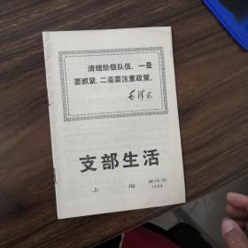 支部生活  上海1969年增刊10