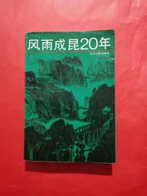 风雨成昆20年