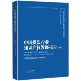 中国煤炭行业知识产权发展报告(2020)