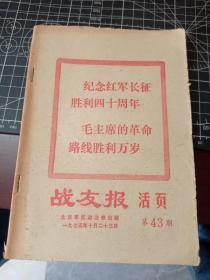 战友报 活页 第43期