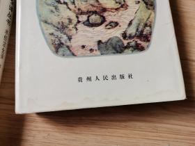 水经注全译