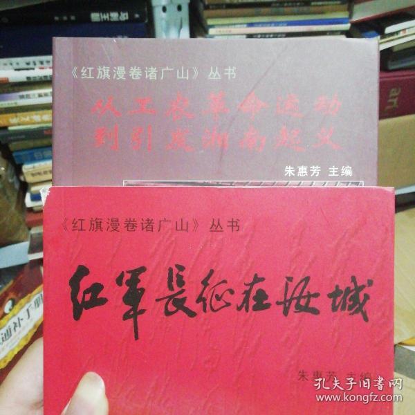 红旗漫卷诸广山丛书：从工农革命运动到引发湘南起义、红军长征在汝城（全二册）