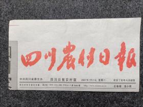 报头报标《四川农村日报》（红色版单张价格日期不限）