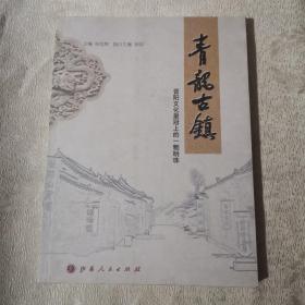 青龙古镇 : 晋阳文化皇冠上的一颗明珠