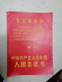 中国共产主义青年团入团志愿书（1973年）