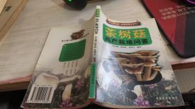 黄土地工程-珍稀菇栽培系列---树菇高产栽培问答