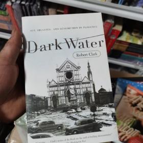 DarkWater:Art,Disaster,andRedemptioninFlorence