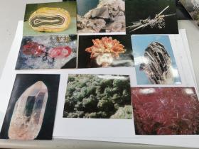 80年代地质博物馆明信片：矿物 十枚 可制作极限片