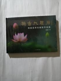荷香大慈岩 周震亚荷花摄影作品集