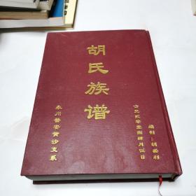 胡氏族谱 永川普安黄沙支系