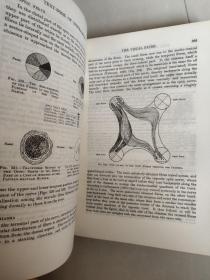 TEXT-BOOK OF OPHTHALMOLOGY I- THE DEVELOPMENT,FORM AND FUNCTION OF THE VISUAL APPARATUS（眼科教科书 卷一，视觉器官的发育形态和机能） 布面精装大16开 厚重 品相较好