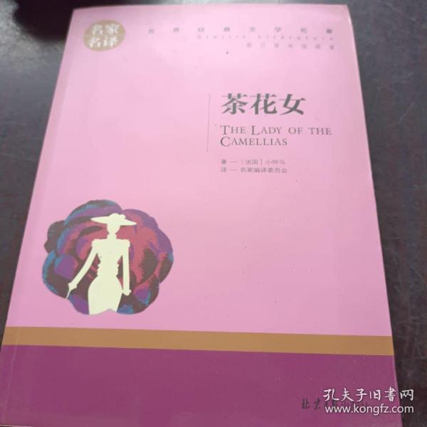 茶花女 中小学生课外阅读书籍世界经典文学名著青少年儿童文学读物故事书名家名译原汁原味读原著