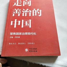 走向善治的中国