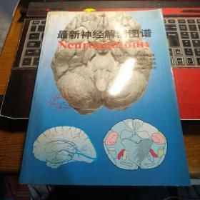 最新神经解剖图谱