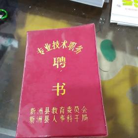 专业技术职务聘书