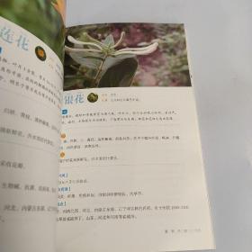 餐桌上的药菜