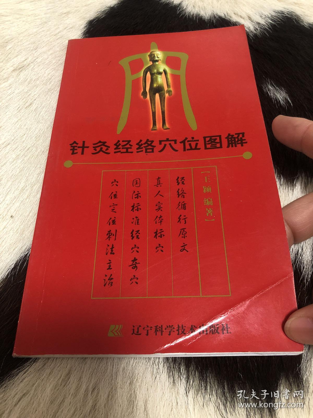 针灸经络穴位图解