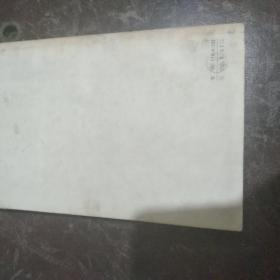 耳鼻咽喉科临床手册