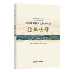 抓党建促脱贫攻坚案例选 强化保障