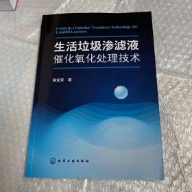 生活垃圾渗滤液催化氧化处理技术