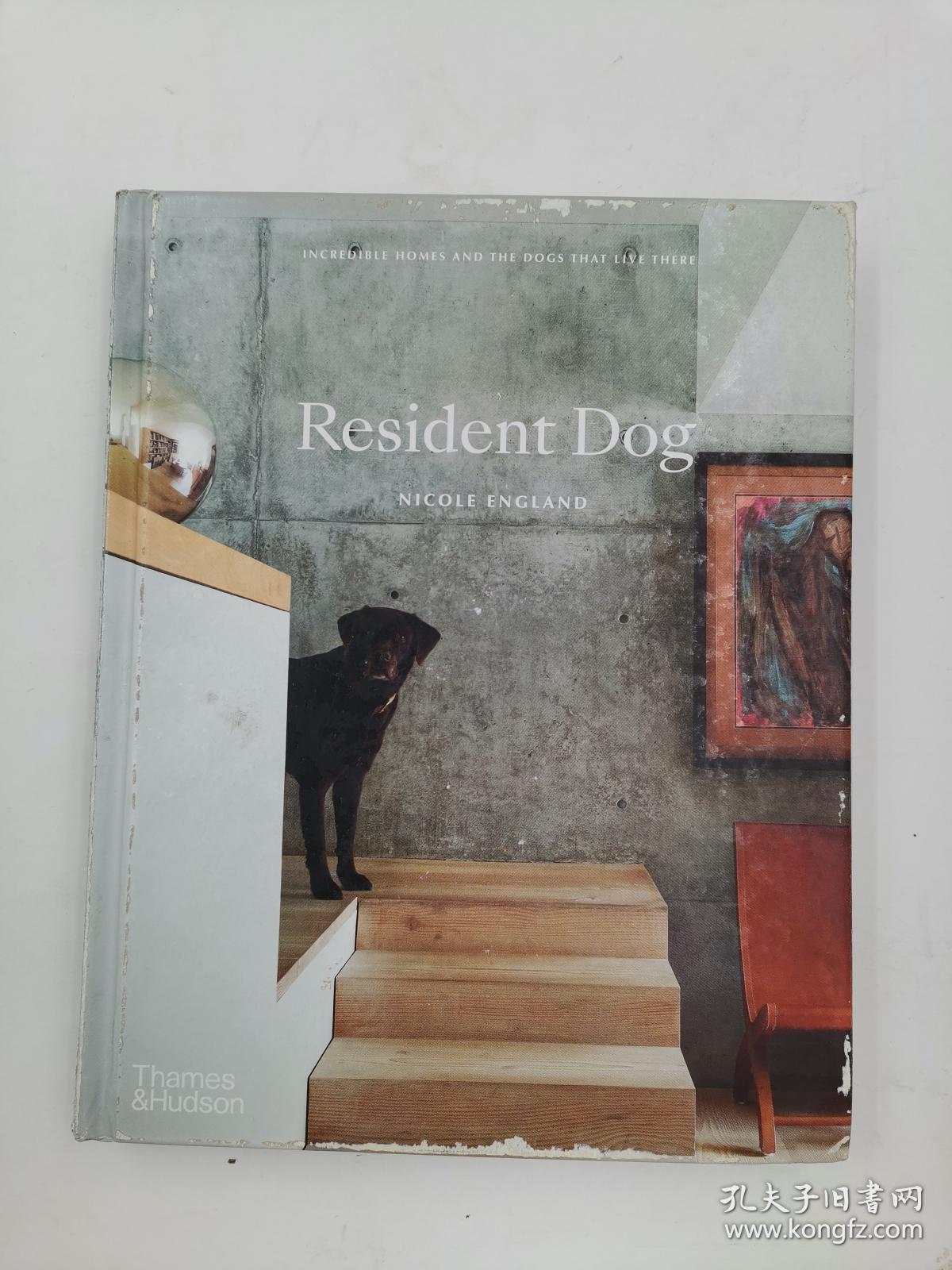 Resident Dog: Incredible Homes and the Dogs That Live There