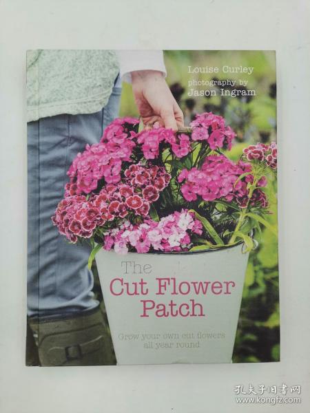 The Cut Flower Patch: Grow your own cut flowers all year round