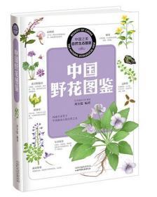 中国之美·自然生态图鉴：中国野花图鉴