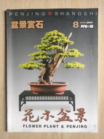 花木盆景 盆景赏石版 2008年.8月号.B版