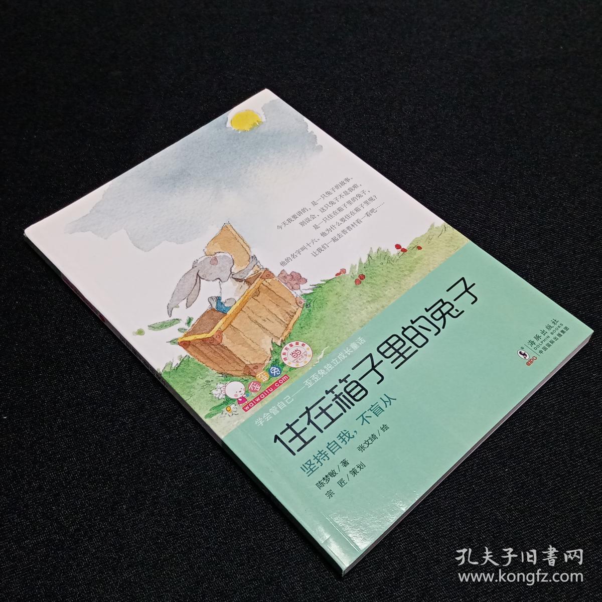 住在箱子里的兔子