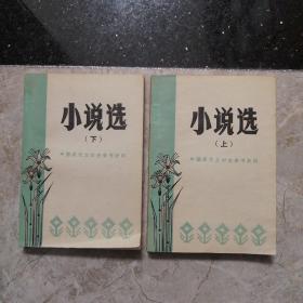 中国现代文学史参考资料 小说选（上下）