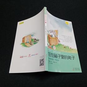 住在箱子里的兔子