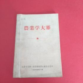 农业学大寨