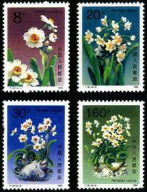 T147 水仙花 邮票